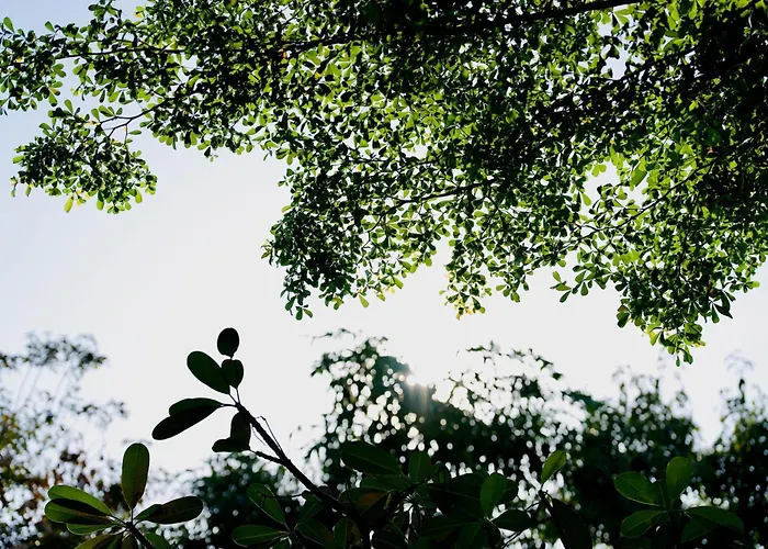 Elysium 4* Siem Reap
