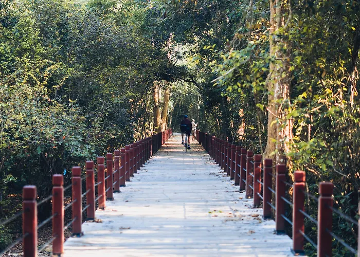 Elysium Siem Reap